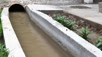 Zakon.kz, фото - Новости Zakon.kz от 08.06.2017 16:44