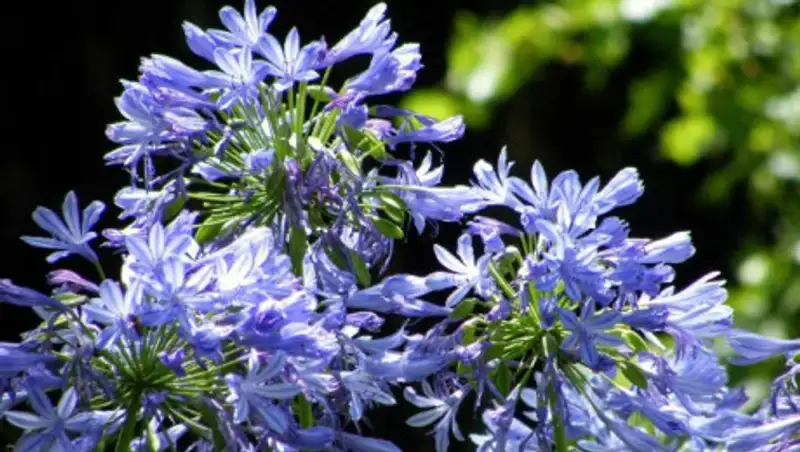 31 июля в РК ожидается облачная погода без существенных осадков