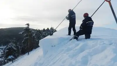 Zakon.kz, фото - Новости Zakon.kz от 17.02.2017 22:23