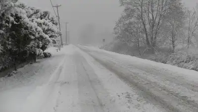 Pixabay, фото - Новости Zakon.kz от 28.01.2020 18:29