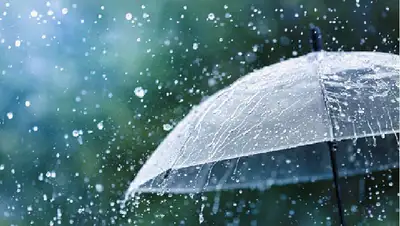 алматы, непогода, дождь, гроза, сильный ветер, казгидромет, фото - Новости Zakon.kz от 25.04.2022 15:02