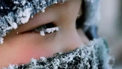 Фото: evening-kazan.ru, фото - Новости Zakon.kz от 22.01.2018 12:51