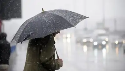 inform.kz, фото - Новости Zakon.kz от 11.11.2020 10:50