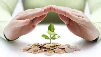 googleusercontent.com, фото - Новости Zakon.kz от 25.09.2020 11:06