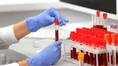 inform.kz, фото - Новости Zakon.kz от 30.04.2020 19:23