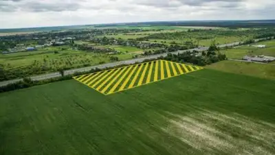 Zakon.kz, фото - Новости Zakon.kz от 26.10.2017 14:51