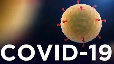 pixabay.com, фото - Новости Zakon.kz от 19.01.2021 18:11