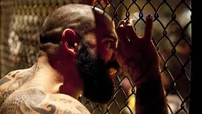 Pixabay, фото - Новости Zakon.kz от 12.12.2020 00:01