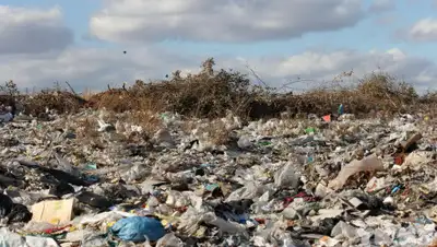 yk.kz, фото - Новости Zakon.kz от 26.08.2019 23:11