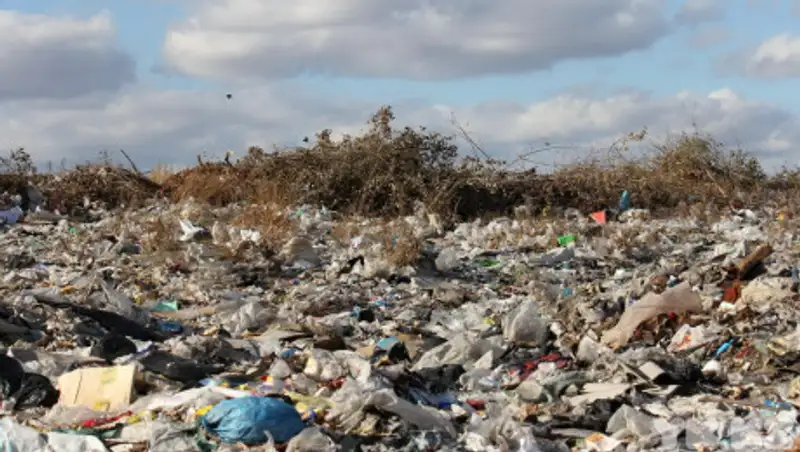 Вместо утилизации мусора чиновники ВКО открыли новую свалку