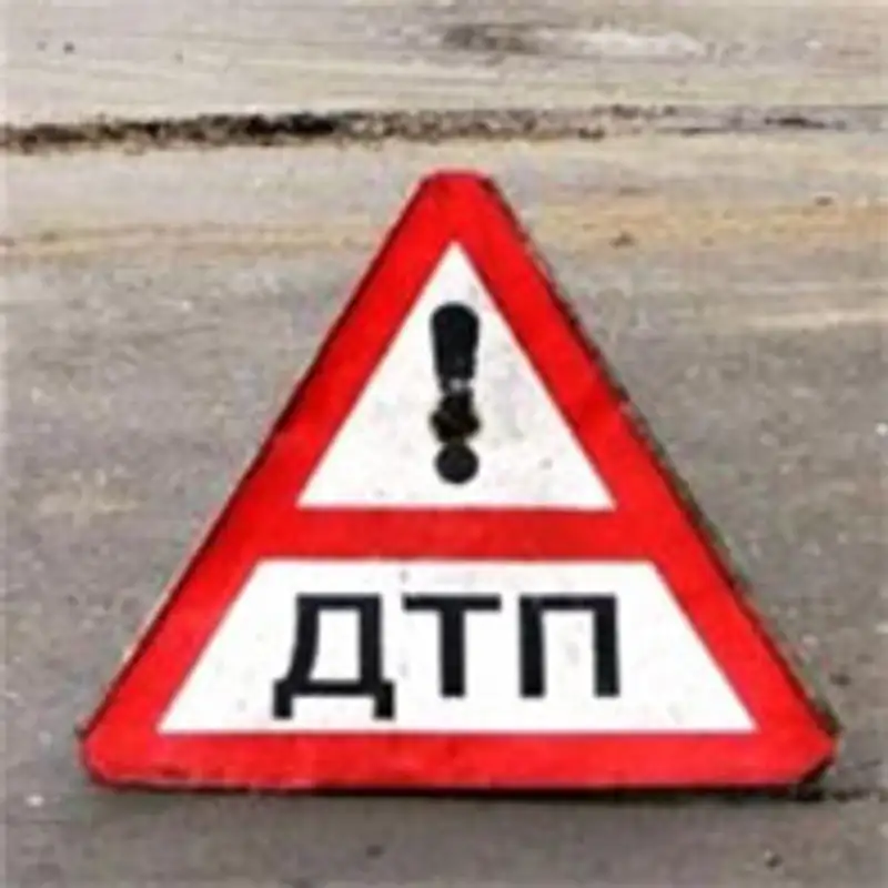 В ЮКО водитель насмерть сбил двух пешеходов