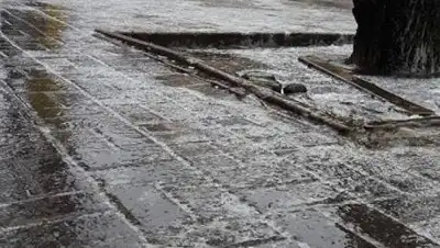 gs.fm, фото - Новости Zakon.kz от 29.03.2021 15:37