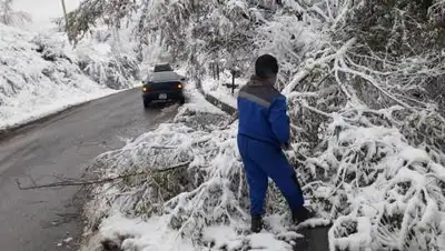 пресс-службы Алматы, фото - Новости Zakon.kz от 22.10.2021 15:17
