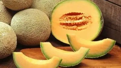 Zakon.kz, фото - Новости Zakon.kz от 18.09.2014 03:18