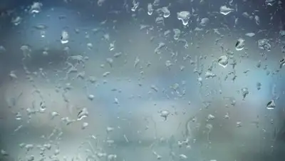 Primpress, фото - Новости Zakon.kz от 21.03.2018 18:52