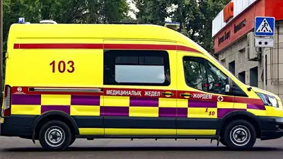 Анафалистический шок, фото - Новости Zakon.kz от 27.01.2023 17:33