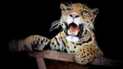 Михаил Сорокоумов, фото - Новости Zakon.kz от 29.11.2019 08:16