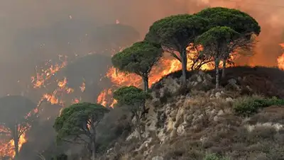 © AFP 2018 / Giovanni Isolino, фото - Новости Zakon.kz от 24.07.2018 07:18