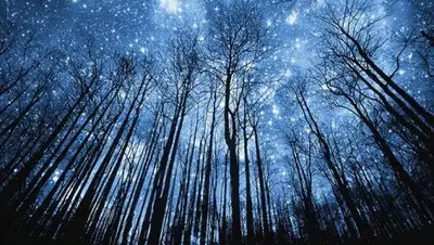 Zakon.kz, фото - Новости Zakon.kz от 04.01.2017 21:57