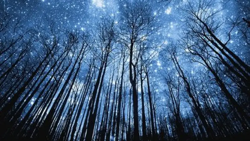 Звездопады, которые вы никак не можете пропустить в новом 2017 году