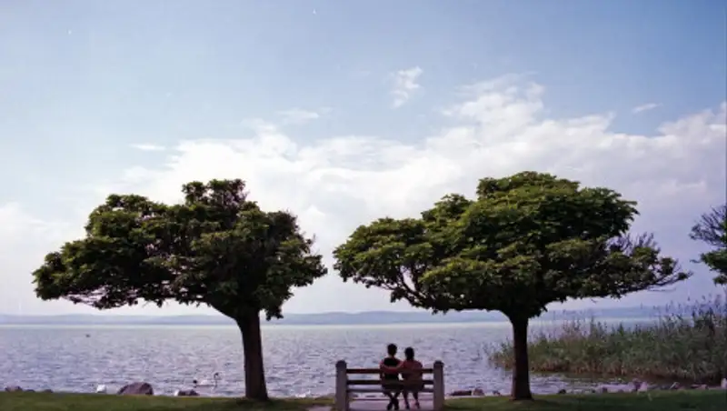 Покой ума. Далай-лама рассказал, как быть счастливым