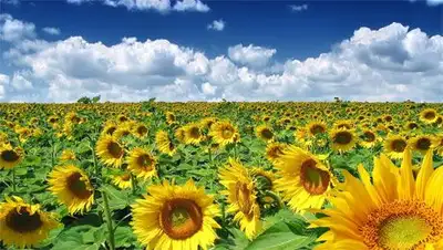 Zakon.kz, фото - Новости Zakon.kz от 19.08.2014 15:03