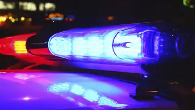 1GAI.ru, фото - Новости Zakon.kz от 19.04.2019 17:21