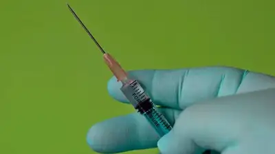 pixabay.com, фото - Новости Zakon.kz от 13.11.2021 00:00