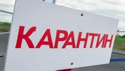 khabar.kz, фото - Новости Zakon.kz от 05.08.2020 17:35