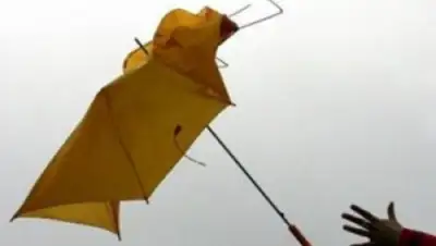 Zakon.kz, фото - Новости Zakon.kz от 21.05.2015 14:02