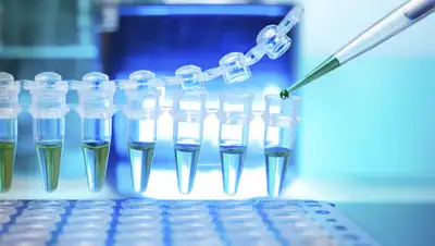 diameb.ua, фото - Новости Zakon.kz от 04.08.2020 22:44