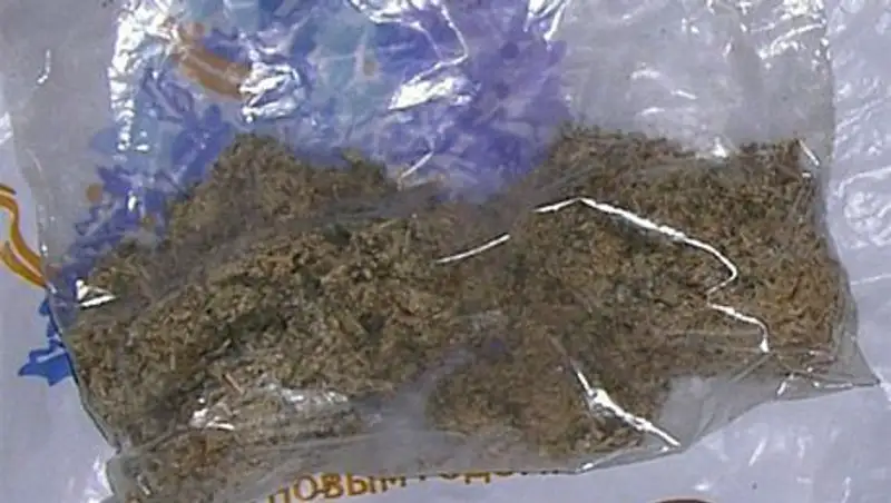 Новый "спайс" убил шестерых жителей Сургута, еще двое до смерти обкурились в Усинске