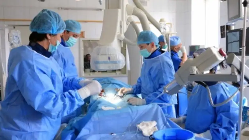 В Алматинскую область привлечено 120 молодых медиков