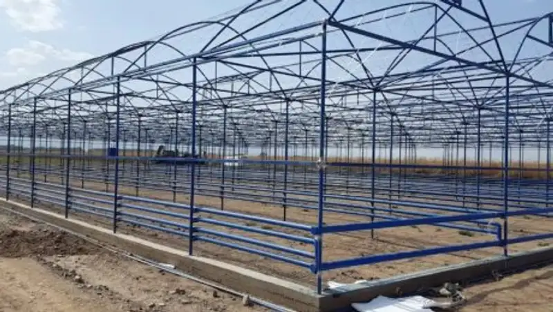 В Туркестанской области построят высокотехнологичный тепличный комплекс