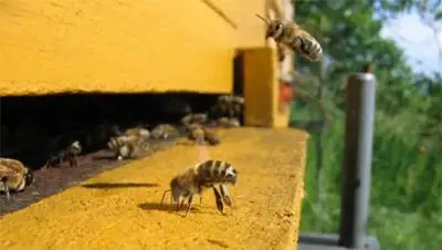 Zakon.kz, фото - Новости Zakon.kz от 08.04.2014 17:01