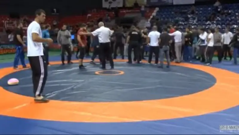 Борцы, тренеры и зрители устроили массовую драку на турнире в Краснодаре