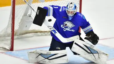 hcbarys.kz, фото - Новости Zakon.kz от 16.02.2019 19:59