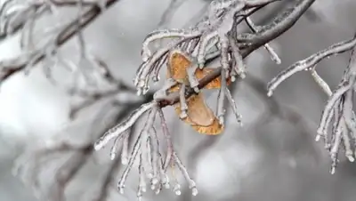 Zakon.kz, фото - Новости Zakon.kz от 11.03.2016 12:00