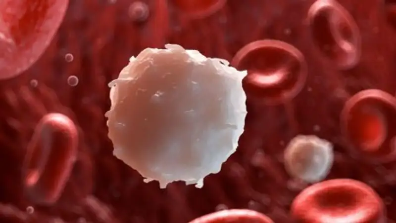 Как девочка из Кокшетау одолела рак