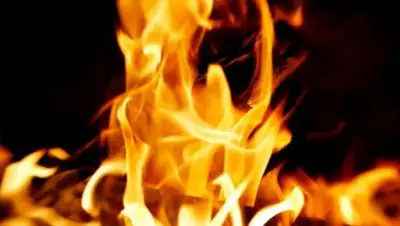 hi-news.ru, фото - Новости Zakon.kz от 01.08.2020 11:16