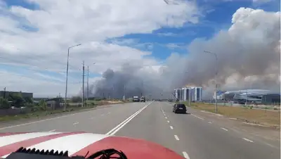пожар в сосновом бору, фото - Новости Zakon.kz от 01.06.2022 15:26