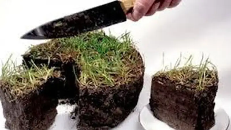 Земельный конфликт пенсионера с полковником Минобороны разгорается с большей силой, фото - Новости Zakon.kz от 11.11.2013 16:38