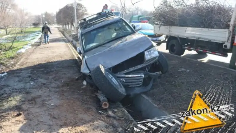 В Алматы внедорожник снес восемь деревьев