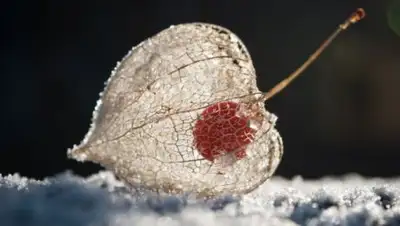 Zakon.kz, фото - Новости Zakon.kz от 06.01.2017 13:18