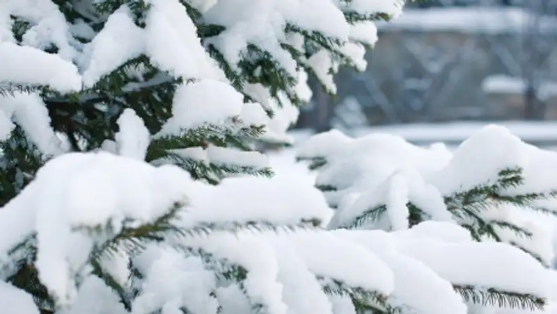 Рекорд в 1964 года побили снегопады в Нур-Султане