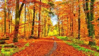 pixabay.com, фото - Новости Zakon.kz от 19.08.2021 09:42