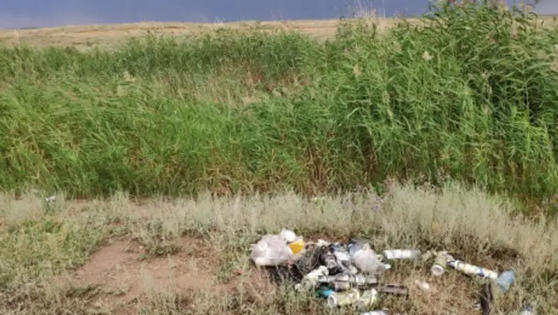 В Нур-Султане пройдет очередная городская экологическая акция #Birge #TazaQazaqstan