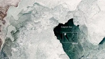 Zakon.kz, фото - Новости Zakon.kz от 03.03.2017 14:36