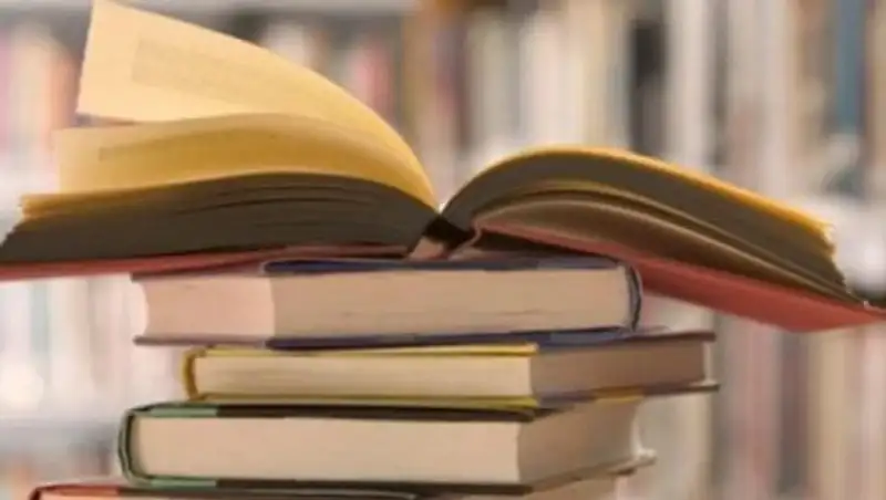 Полицейские РК вычислили авторов фейка об учебнике с интимной иллюстрацией