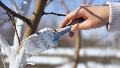 Zakon.kz, фото - Новости Zakon.kz от 09.04.2015 16:42